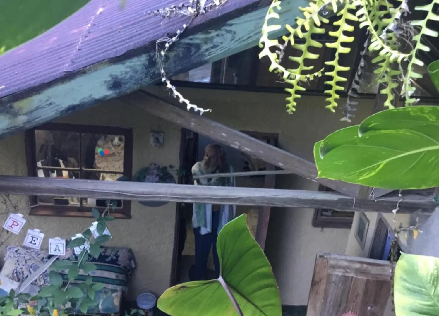 Guest house Dustry Cottages Kingston Jamaica