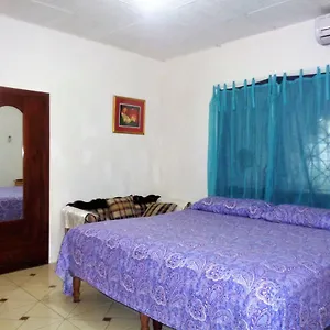 5* Guest house Yard Style